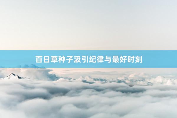 百日草种子汲引纪律与最好时刻