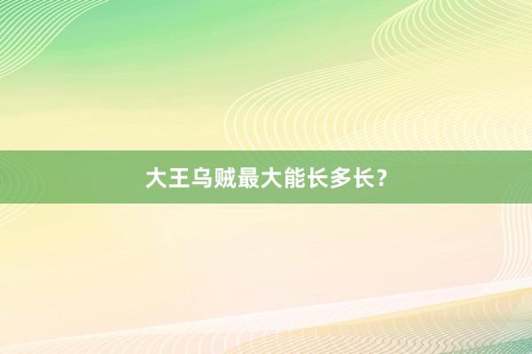 大王乌贼最大能长多长？